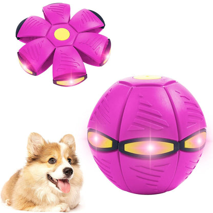 Minge Transformabilă HOZRO, în Disc de Aruncare, 15 cm, Culoare Roz – Jucărie Interactivă și Distractivă pentru Copii, Ideală pentru Joacă în Aer Liber și Dezvoltarea Agilității HOZRO