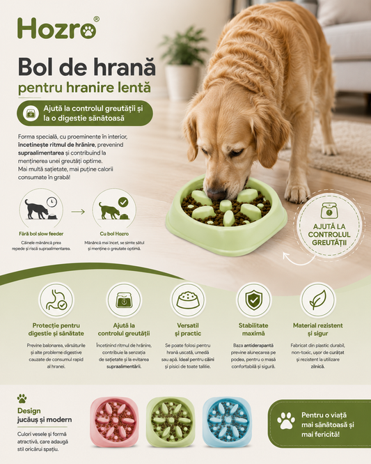 Bol de hranire lenta Hozro, pentru caini si pisici, antialunecare, plastic non-toxic, 20x20 cm, diverse culori BESTSELLS