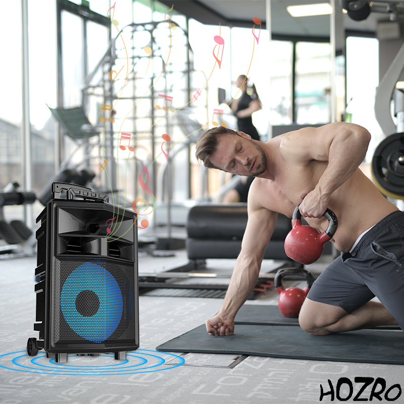 🔊 Boxă Portabilă ZQS-12130 HOZRO, Bluetooth, Karaoke, microSD, AUX și USB – Putere Mare, Sunet Clar și Distracție Oriunde! HOZRO