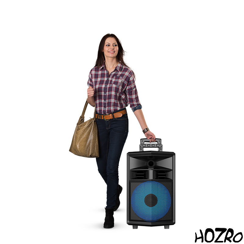 🔊 Boxă Portabilă ZQS-12130 HOZRO, Bluetooth, Karaoke, microSD, AUX și USB – Putere Mare, Sunet Clar și Distracție Oriunde! HOZRO
