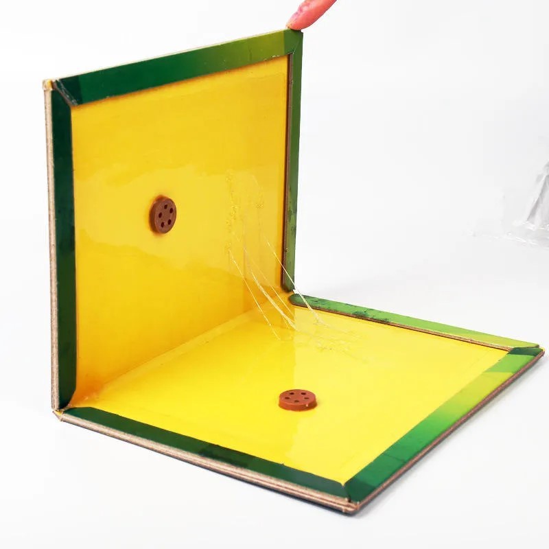 Set de 10 Capcane pentru Șoareci, tip carte BESTSELLS