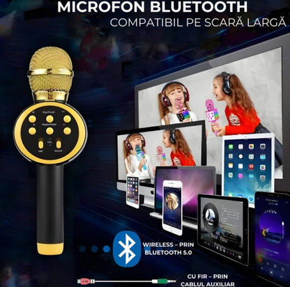 Microfon karaoke Disco V-11 Hozro, fara fir, cu Radio si Recorder, wireless sistem, profesional cu boxe si Bluetooth 4.1 HOZRO