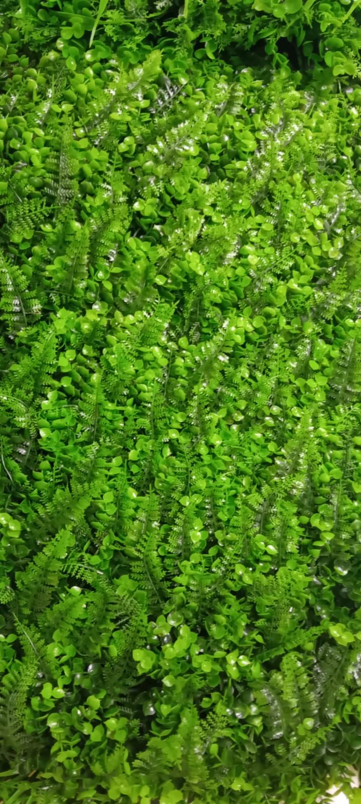 🌿 Panou Decorativ Premium Hozro – Gazon Artificial Iarba cu Ferigi, 60x40 cm HOZRO