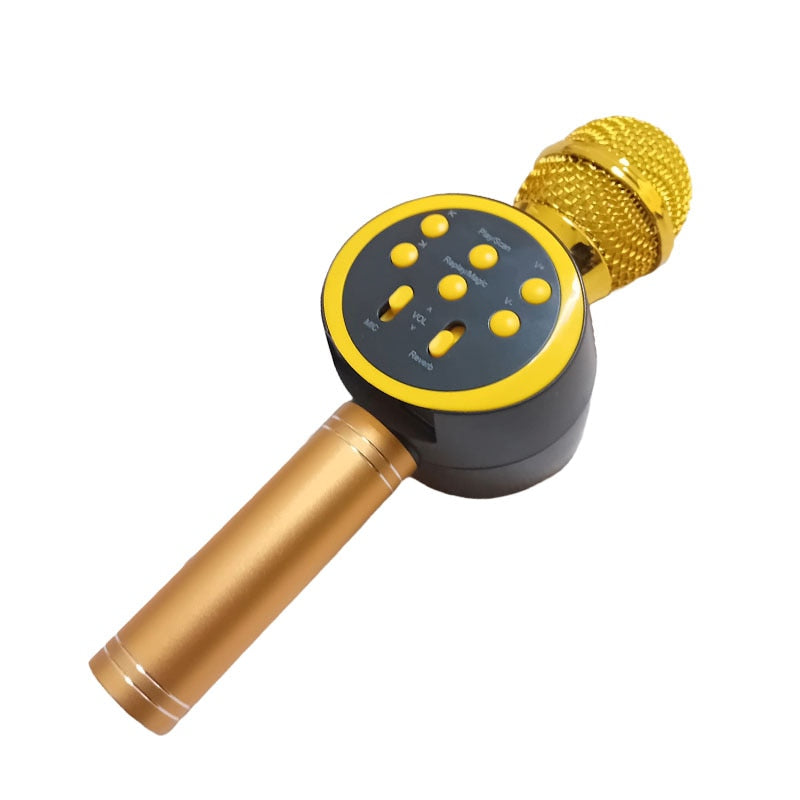 Microfon karaoke Disco V-11 Hozro, fara fir, cu Radio si Recorder, wireless sistem, profesional cu boxe si Bluetooth 4.1 HOZRO