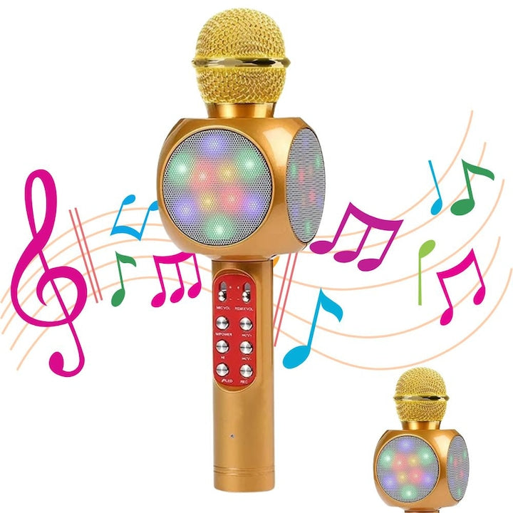 Microfon karaoke Disco LED WS1816-Hozro, fara fir, cu Radio si Recorder, wireless sistem, profesional cu boxe si Bluetooth 4.1 M1 HOZRO