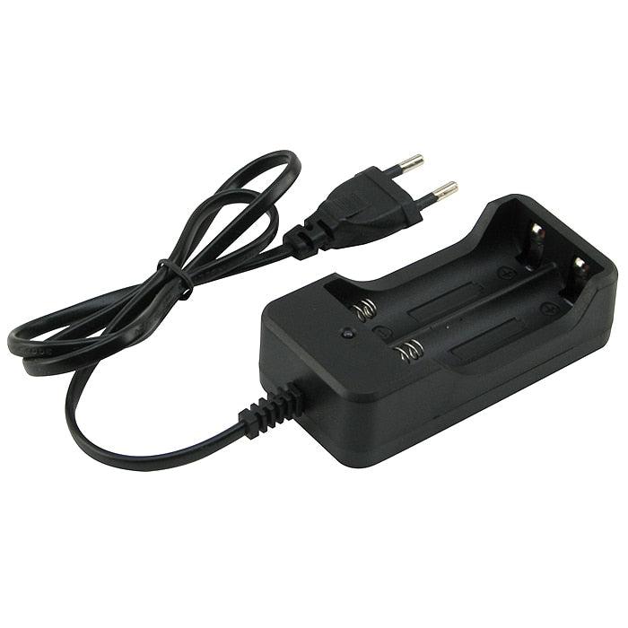 🔋 Încărcător Dublu Profesional Hozro pentru Acumulatori Li-Ion 18650 HOZRO